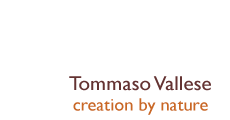 Tommaso Vallese